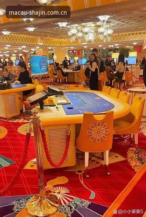 澳门沙金线上娱乐 揭秘澳门沙金线上娱乐平台背后的真实体验与数据洞察